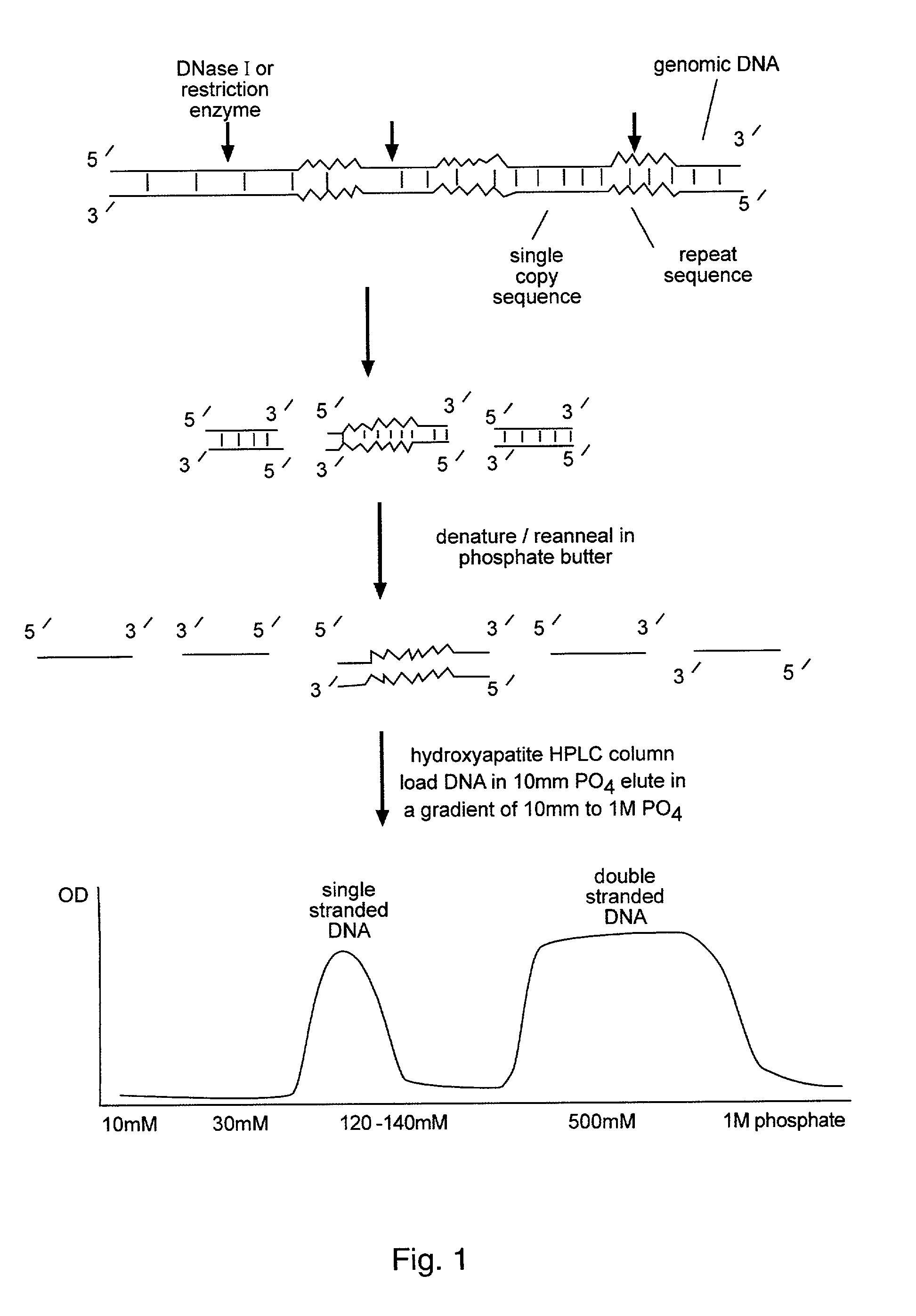Methods for reducing complexity of nucleic acid samples