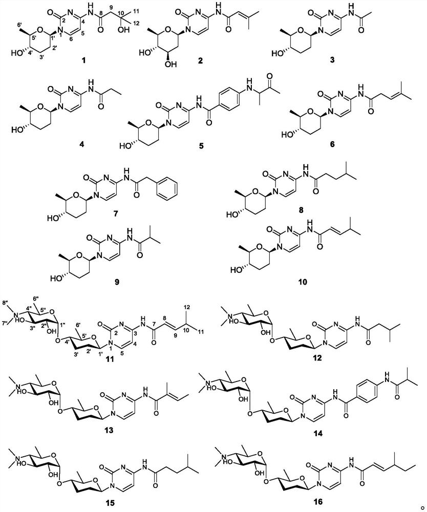 A kind of friendly mycin compound and its preparation method and application