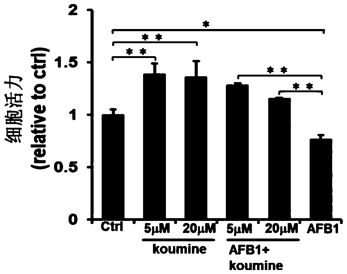 Application of koumine to preparation of drugs for treating hepatocyte damage