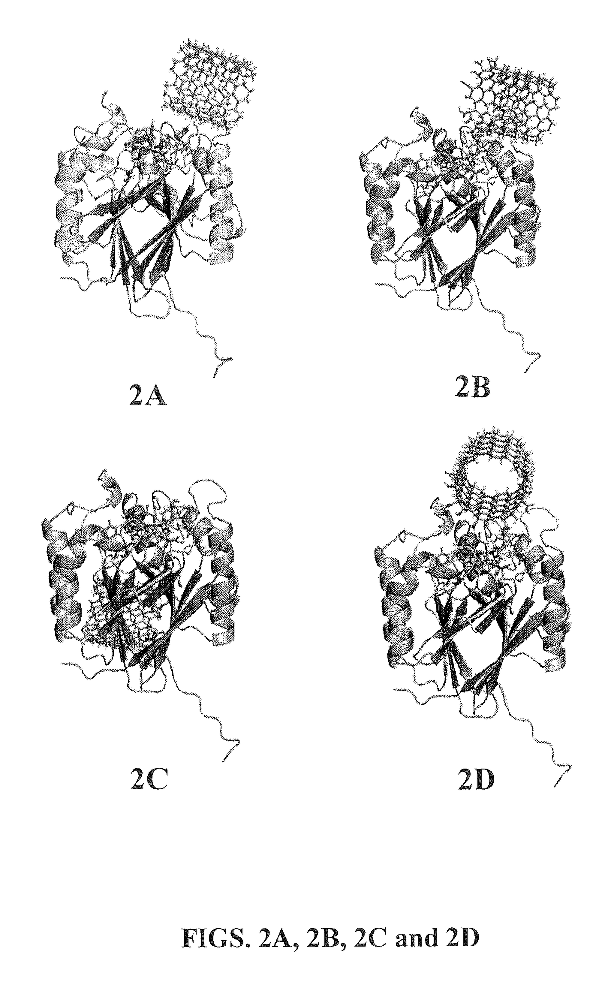 Degradable carbon nanotube-containing biosensors and methods for target clinical marker detection