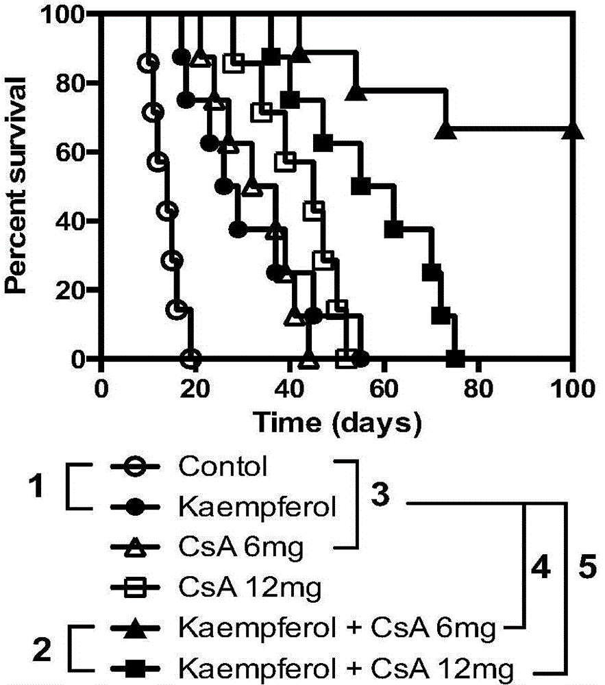 Application of kaempferol in medicines for inhibiting rejection reaction of receptor on organ transplantation