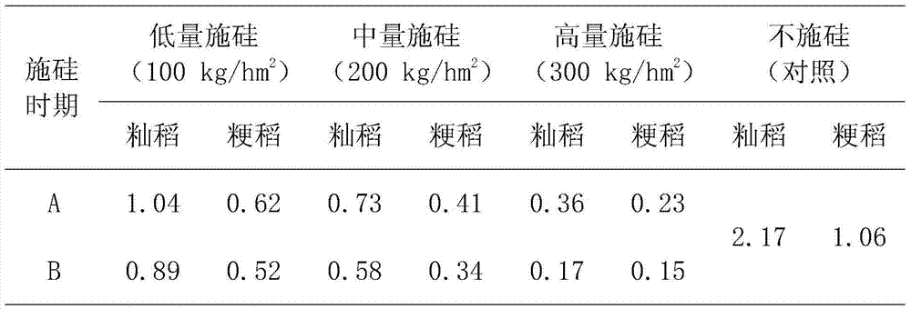 Silicon application method for reducing lead concentration of rice in rice field with severe lead contamination