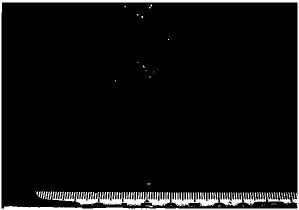 A kind of composite microbial profile control bacteria agent and its preparation method and application