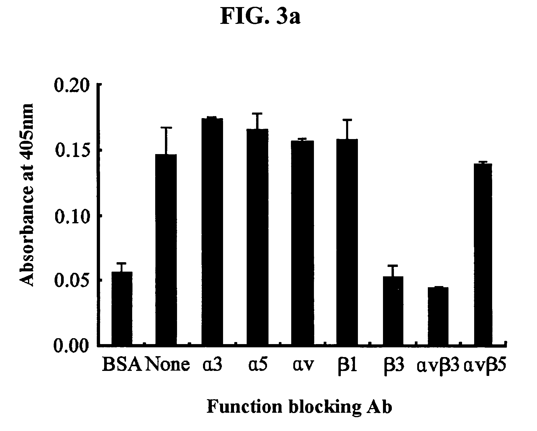 Use of a peptide that interacts with αvβ3 integrin of endothelial cell