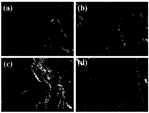 Nano-scale electrochemically expanded graphite paper conductive substrate and preparation method thereof