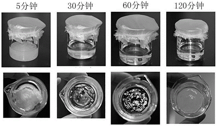 Preparation and identification method of domestic silkworm silk fibroin solution