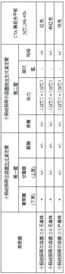 Kit for separating and identifying yersinia enterocolitica as well as preparation and application thereof