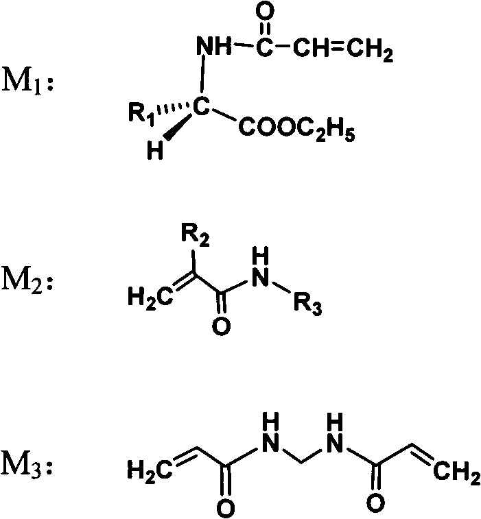 Temperature sensitive type microgel modified by L-amino acid