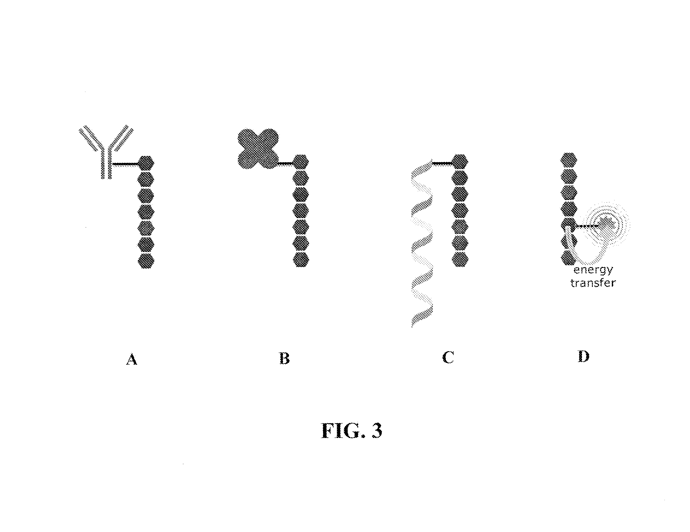 Reagents for directed biomarker signal amplification