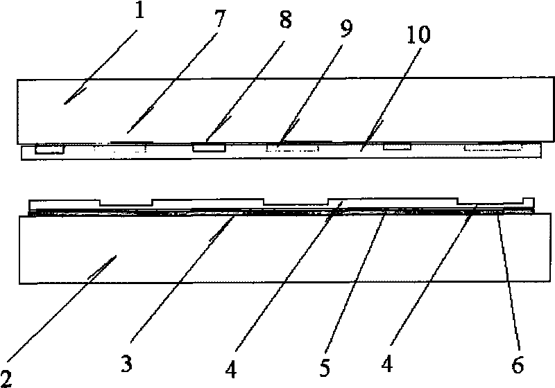 Plasma display panel and lower substrate thereof