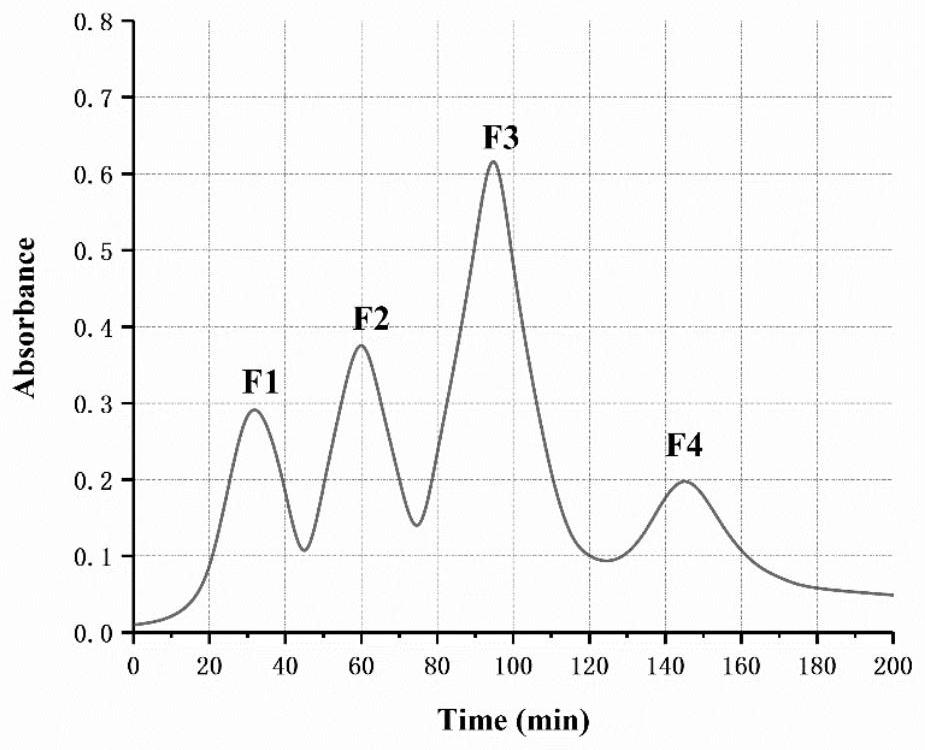 Walnut meal anti-inflammatory peptide WSL and application thereof
