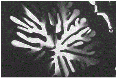 Cyanuric acid derivative, disc-like liquid crystal material and melamine detection method