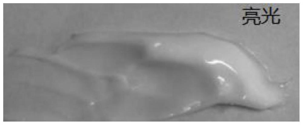 Liquid crystal type oil-in-water matte composition, cream and preparation method thereof