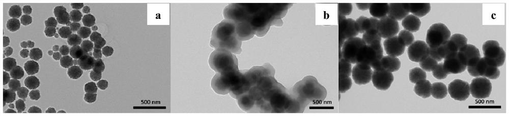 Bifunctional magnetic nanoparticles as well as preparation method and application thereof