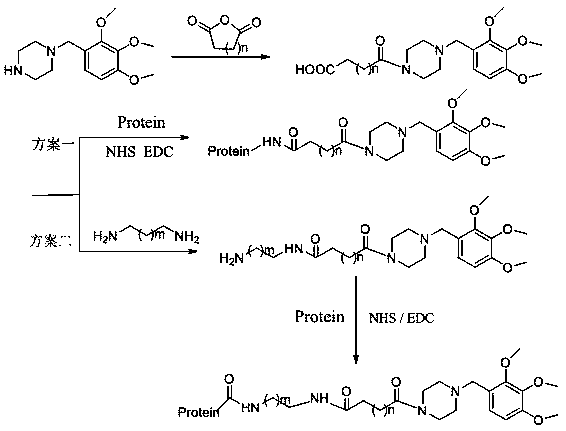 Trimetazidine hapten and artificial antigen, and preparation methods and applications thereof