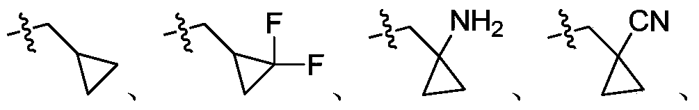 4H-pyrazolo[1,5-[alpha]]benzimidazole compound analogue as PARP inhibitor