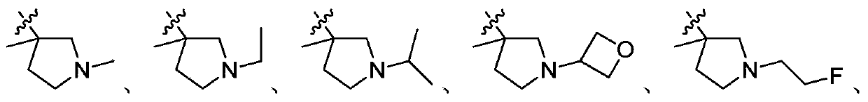 4H-pyrazolo[1,5-[alpha]]benzimidazole compound analogue as PARP inhibitor