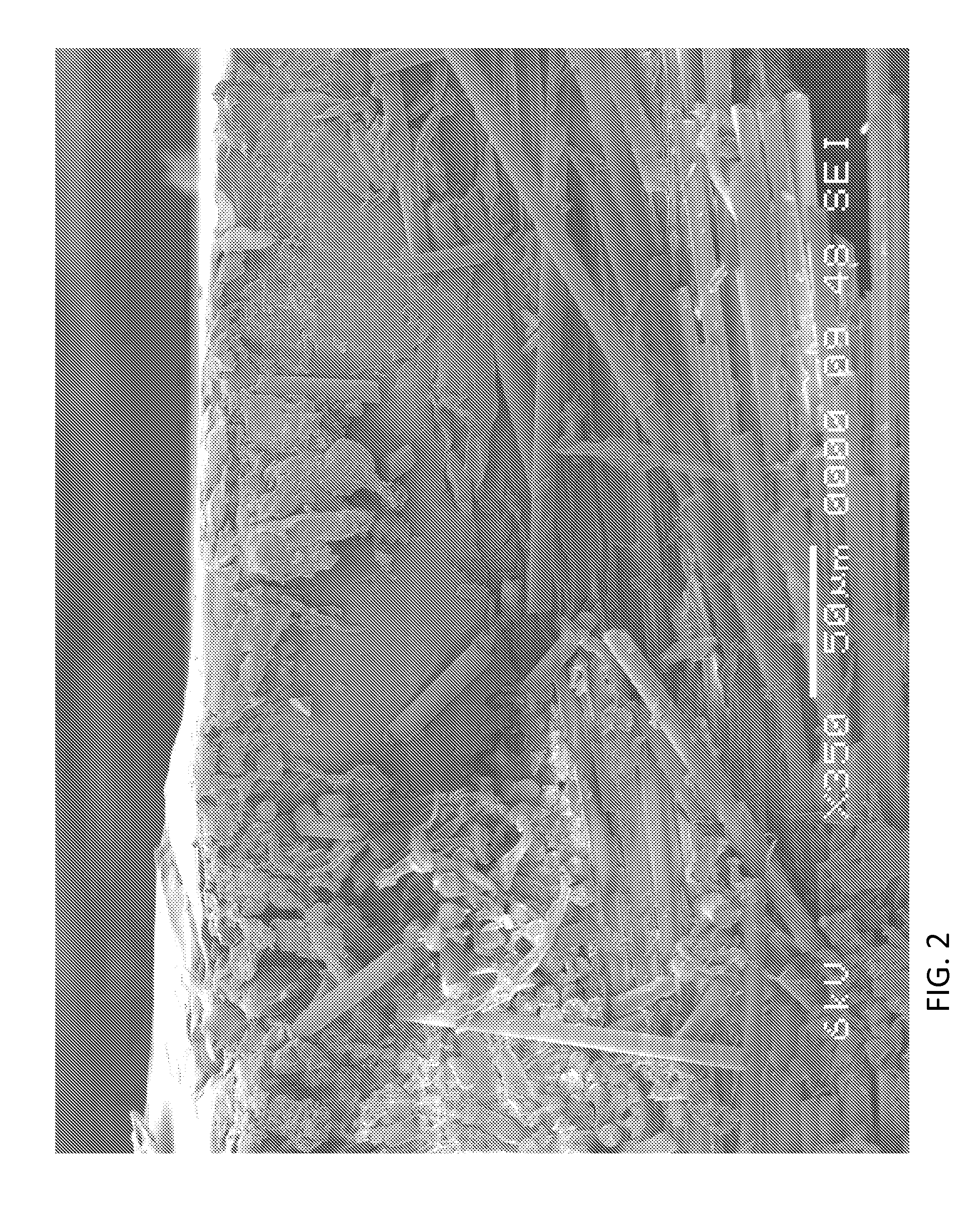 Flexible laminate structure