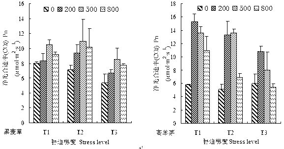 Method for increasing photosynthetic capacity of drought mixed matrix lawn plants by adopting rare-earth cerium