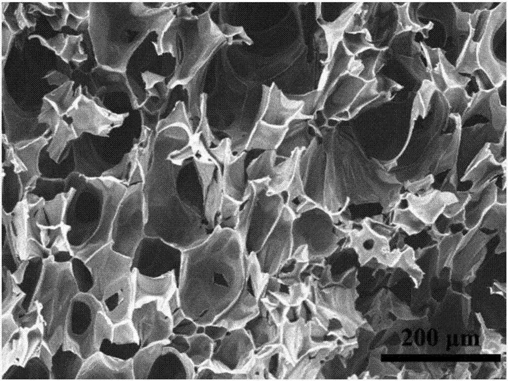 Method for preparing thin-wall foam carbon-carbon nanotube composite material
