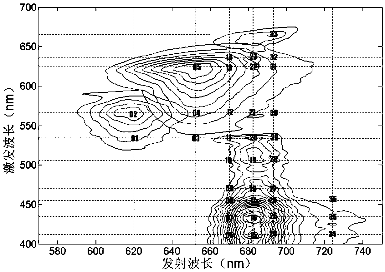 Method and device for identifying and measuring phytoplankton based on discrete three-dimensional fluorescence spectroscopy