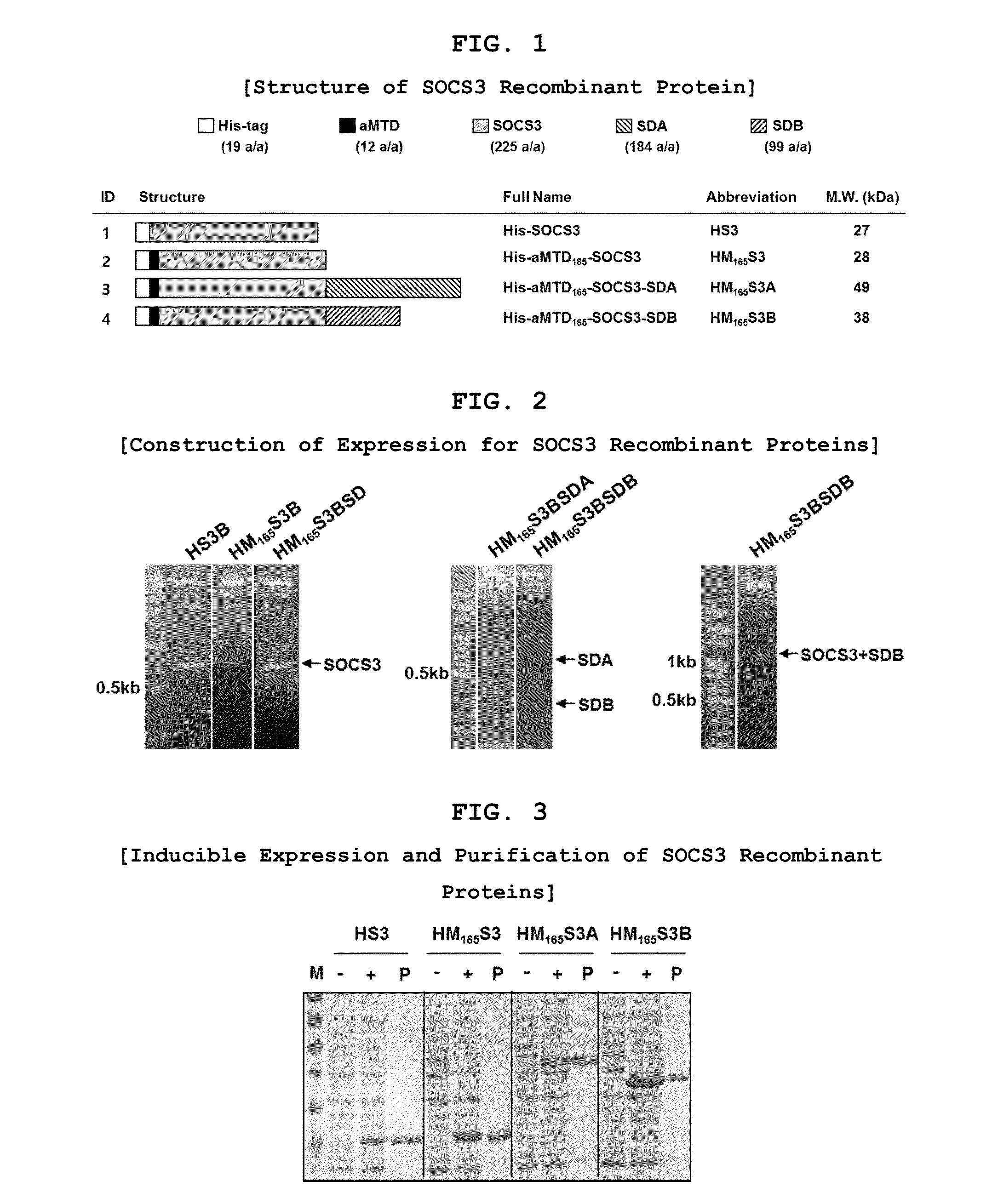 Development of Protein-Based Biotherapeutics That Penetrates Cell-Membrane and Induces Anti-Hepatocellular Carcinoma Effect - Improved Cell-Permeable Suppressor of Cytokine Signaling (iCP-SOCS3) Proteins, Polynucleotides Encoding the Same, and Anti-Hepatocellular Carcinoma Compositions Comprising the Same