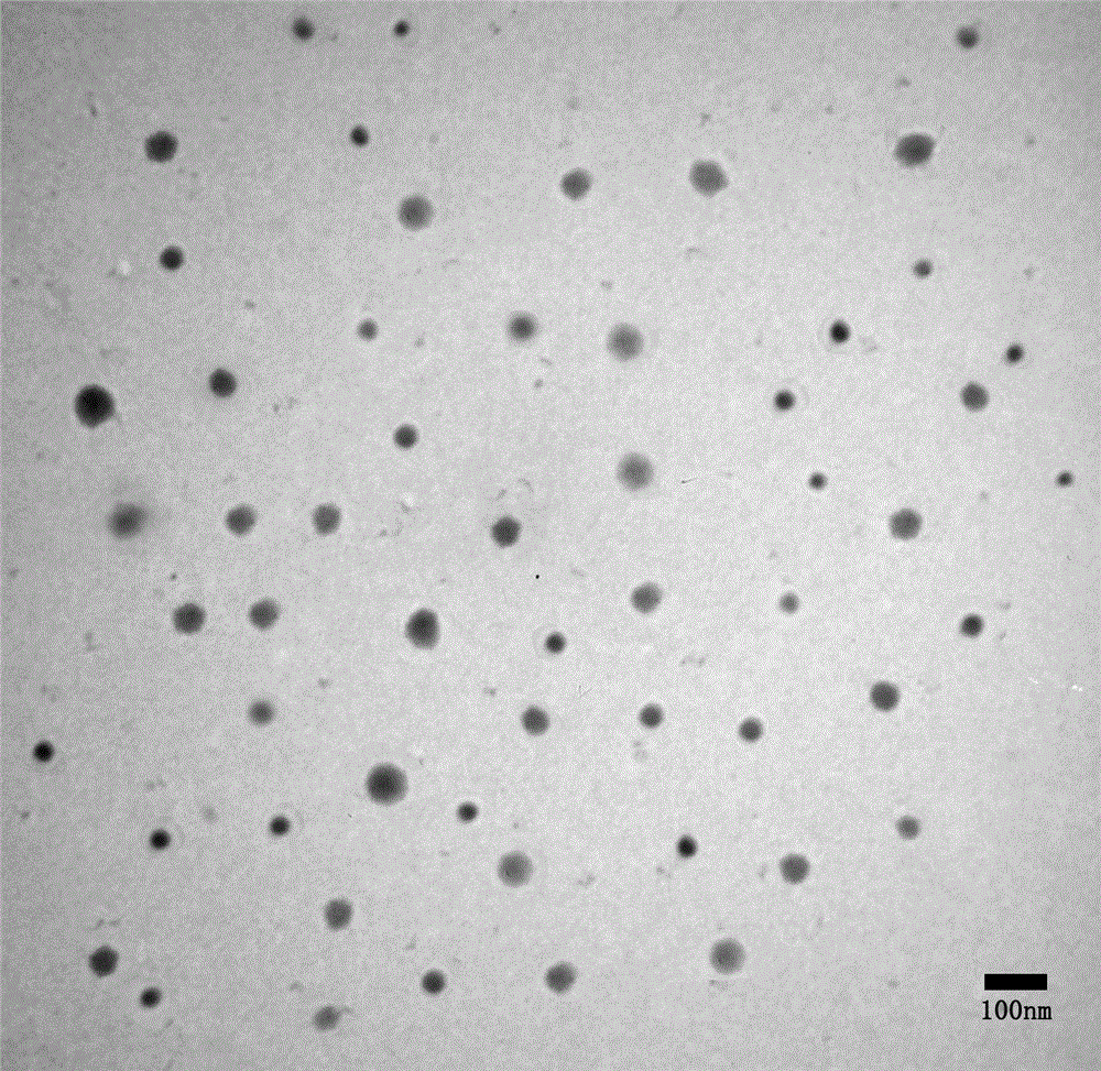 Preparation method of novel water-soluble nanoparticles