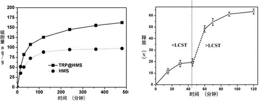 Preparation method of microorganism-nano particle composite system used for degrading phenol