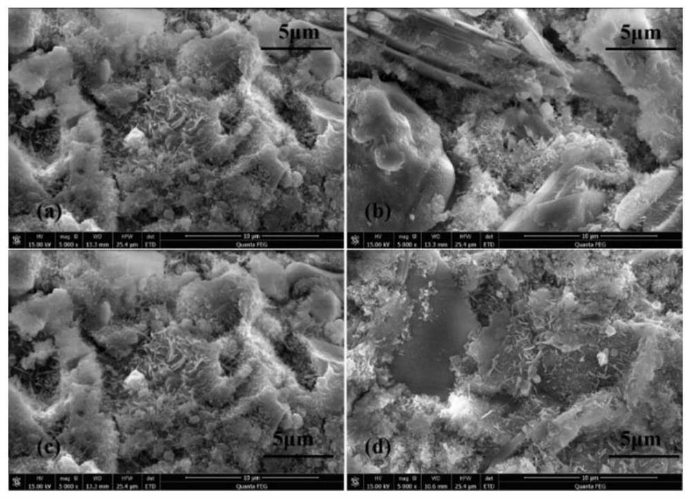 A long-chain saturated fatty acid glyceride nanoemulsion pore suppository and preparation method thereof