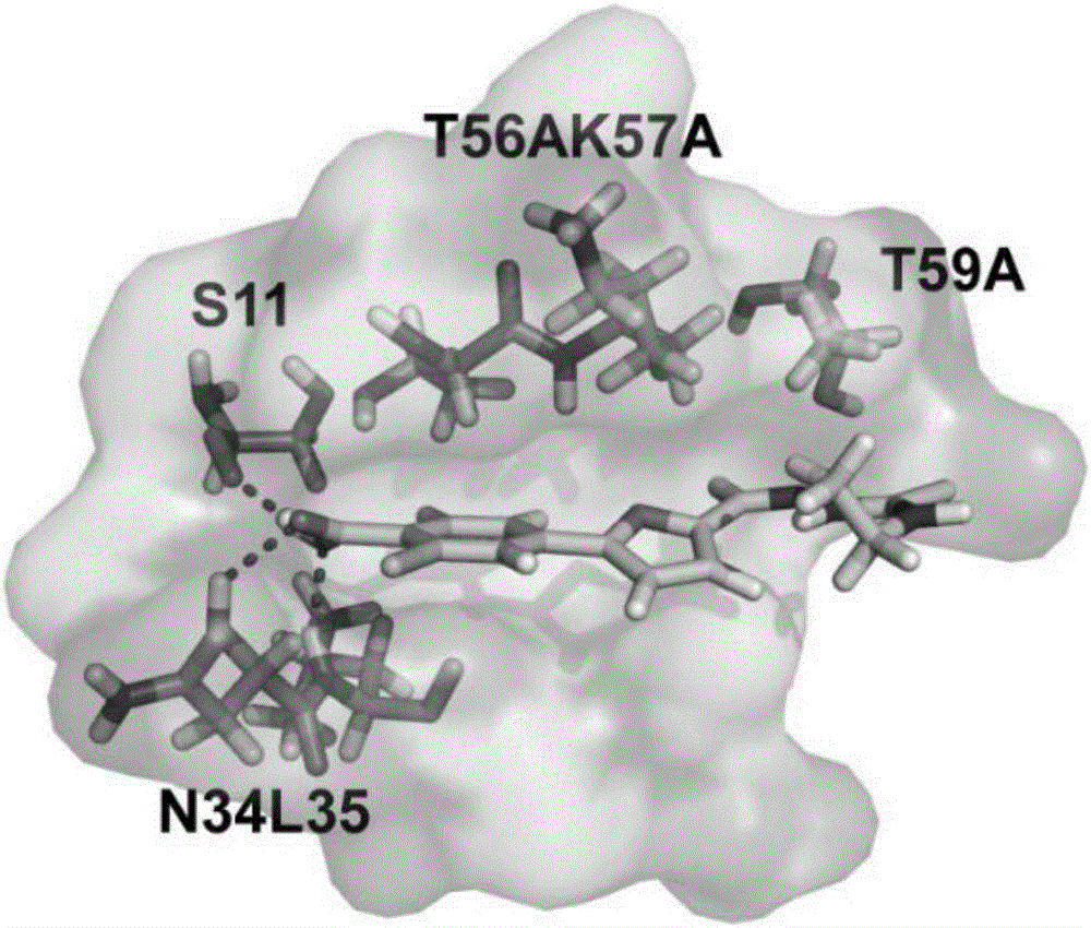 Furan D-3-phosophoglycerate dehydrogenase allosteric inhibitor and application thereof