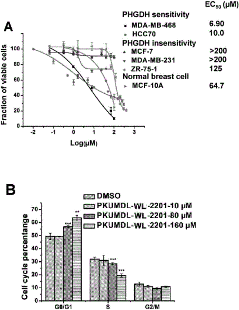 Furan D-3-phosophoglycerate dehydrogenase allosteric inhibitor and application thereof