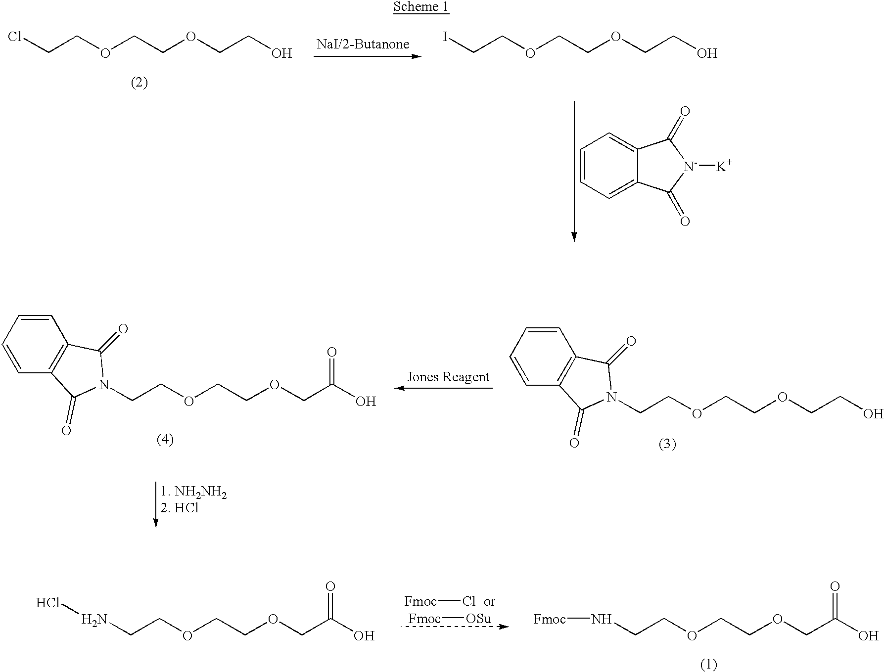 Methods of synthesizing and using derivatives of [2-(2-aminoethoxy)ethoxy] acetic acid