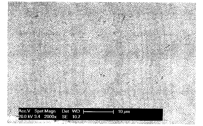 Method for preparing enhanced heat-transfer and scale prevention coating of micron/nanometer titanium dioxide on stainless steel substrate