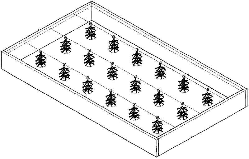 Double-harvest-one-year industrialized culture method for octopuses