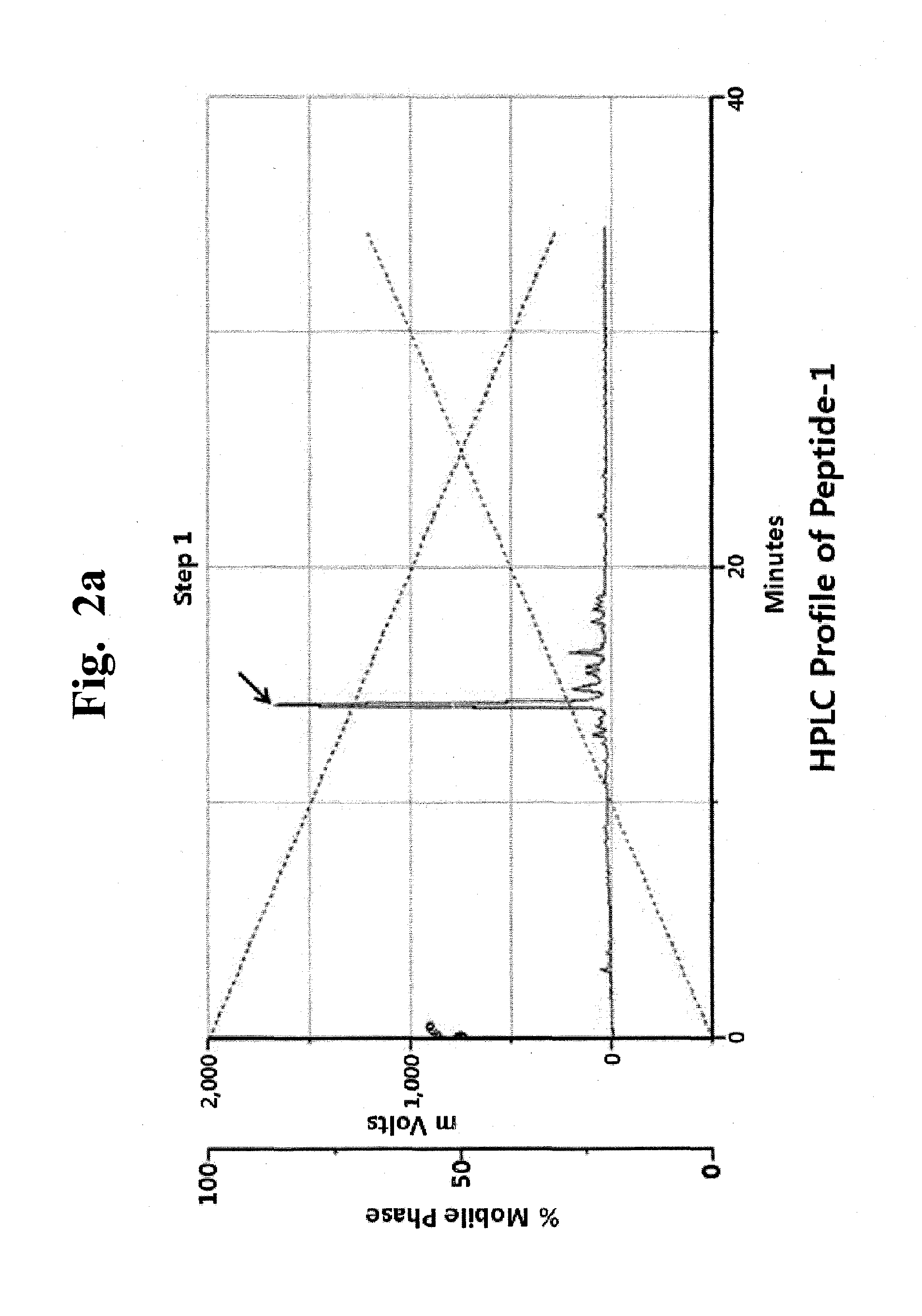 Growth factor-mimicking peptides and uses thereof