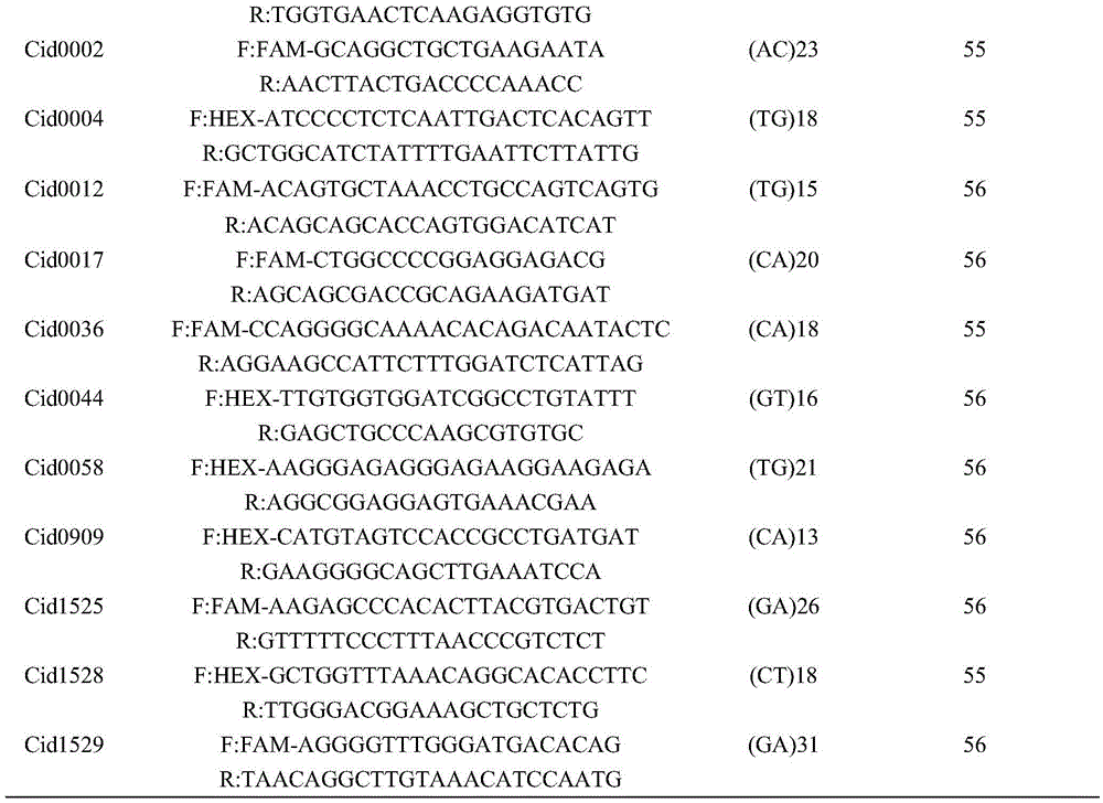 A method for molecularly assisted breeding of superior strains of grass carp and verification of breeding effect