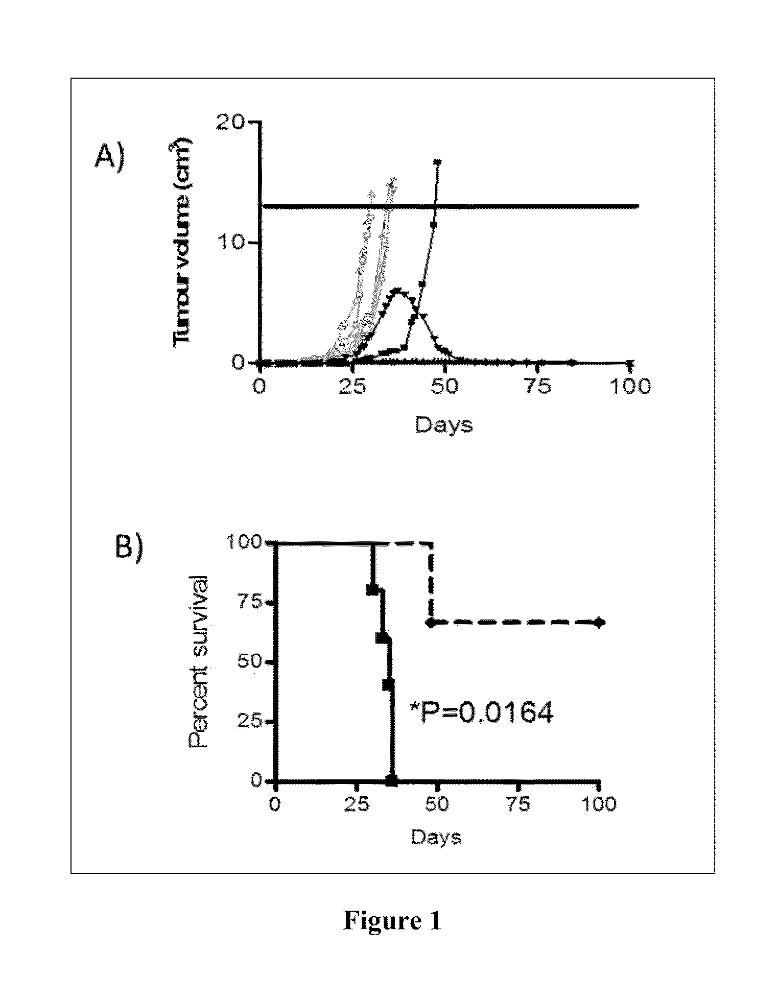 Vaccines for the treatment of cancer and compositions for enhancing vaccine efficacy