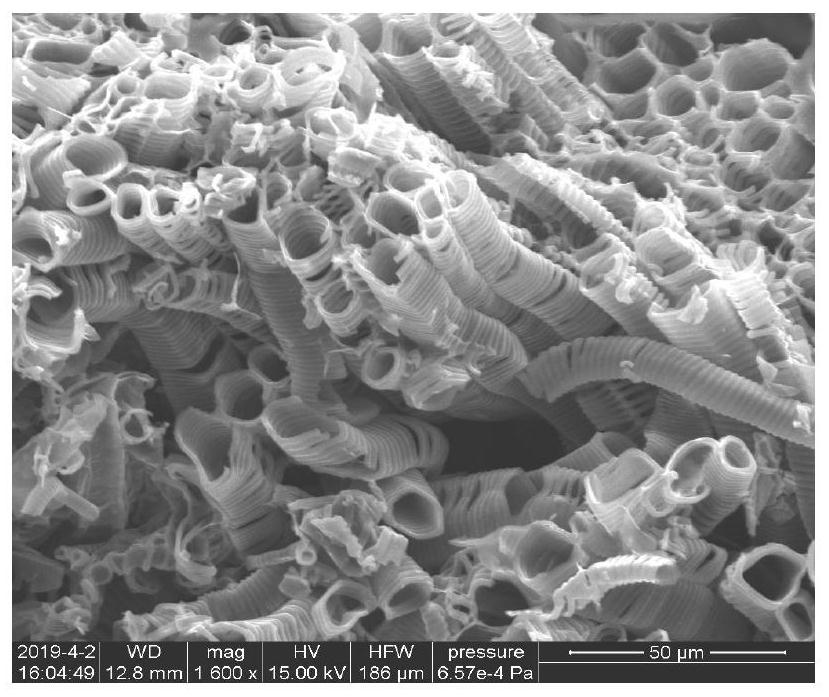 Catalyst-free preparation method and application of porous helical carbon material