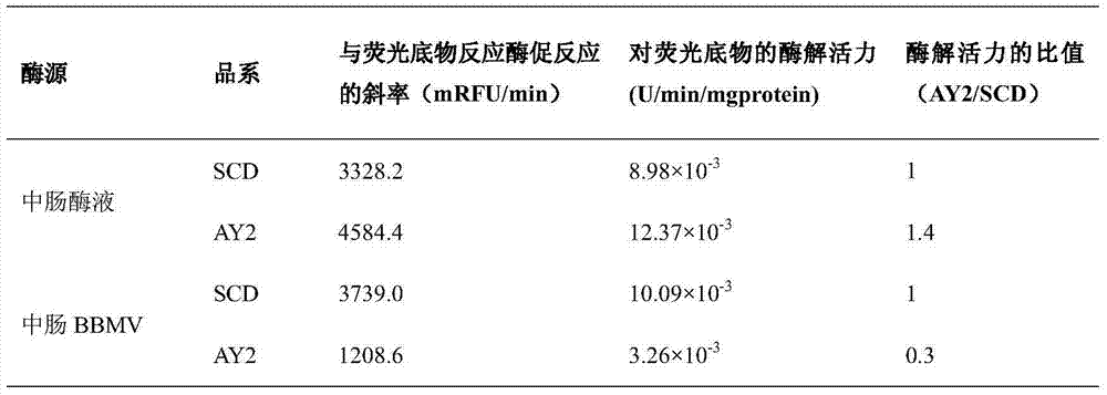 Fluorescent substrate for detecting activity of trypsin acting on Cry1A protoxin and application of fluorescent substrate