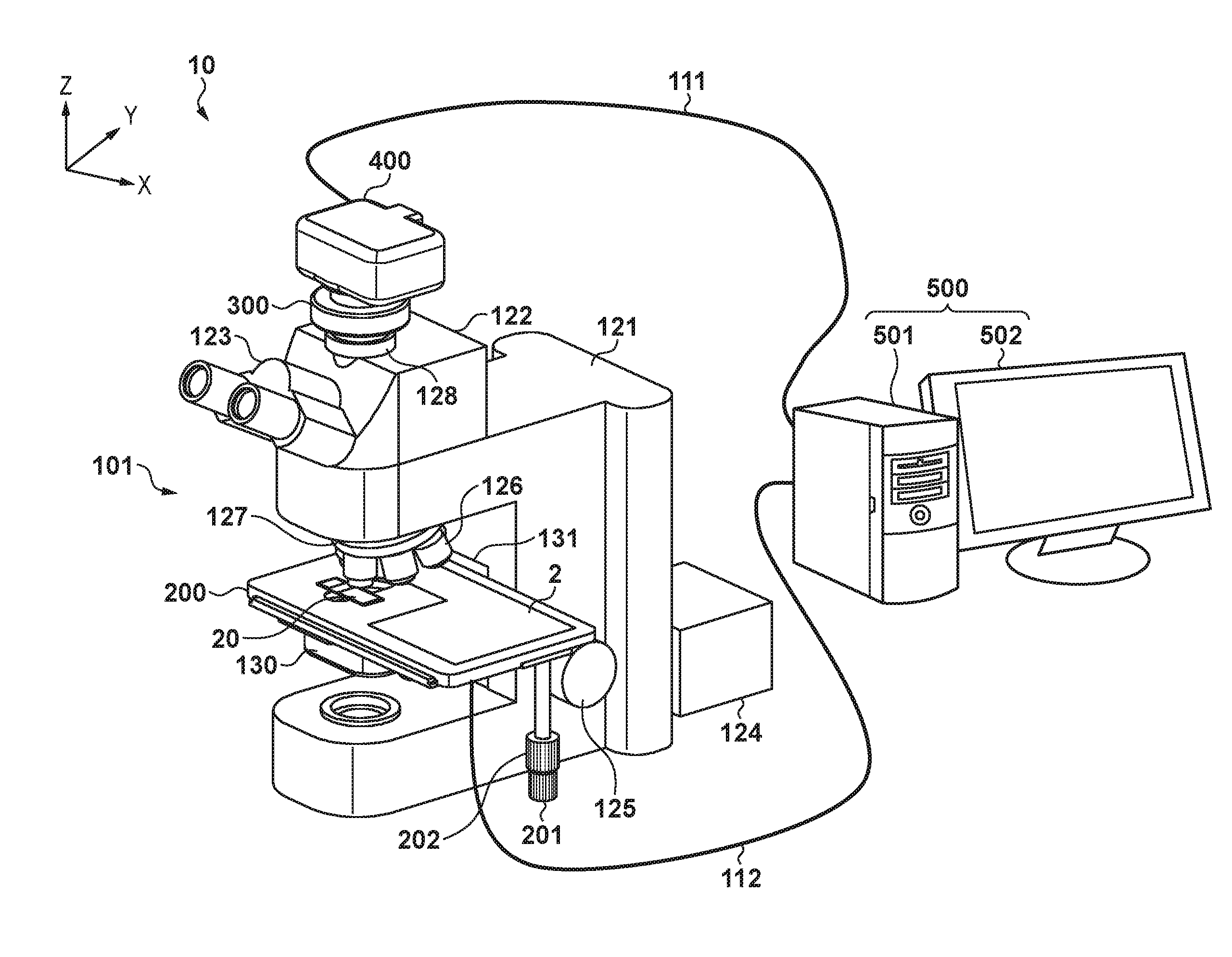 Stage apparatus and microscope