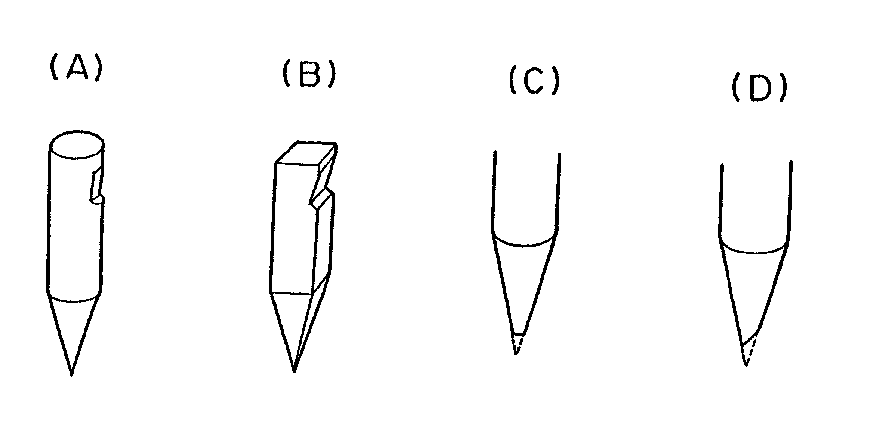 Silicon seed crystal and method for producing silicon single crystal