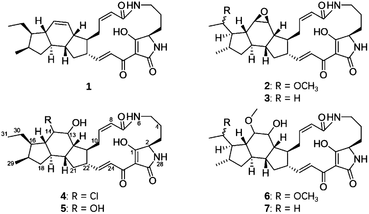 Anti-pancreatic cancer application of polycyclic fused macrocyclic lactam compounds