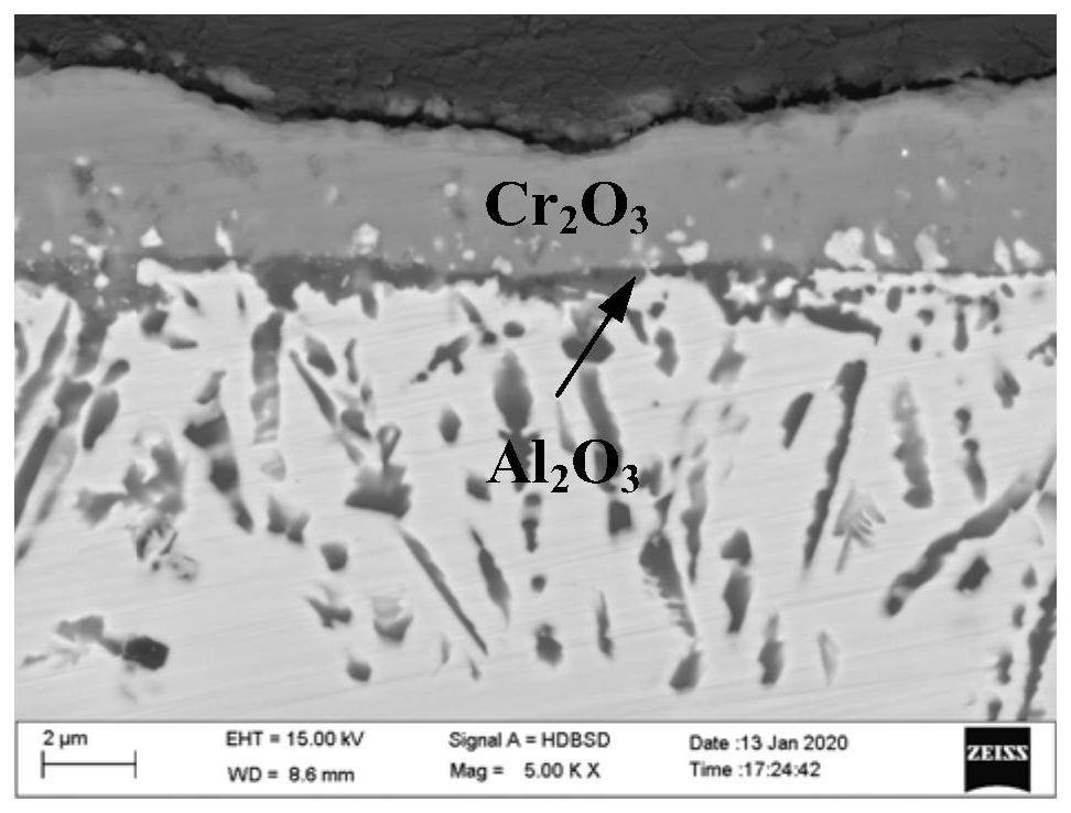 Precipitation-strengthened nickel-cobalt-based alloy with high oxidation resistance and preparation method thereof