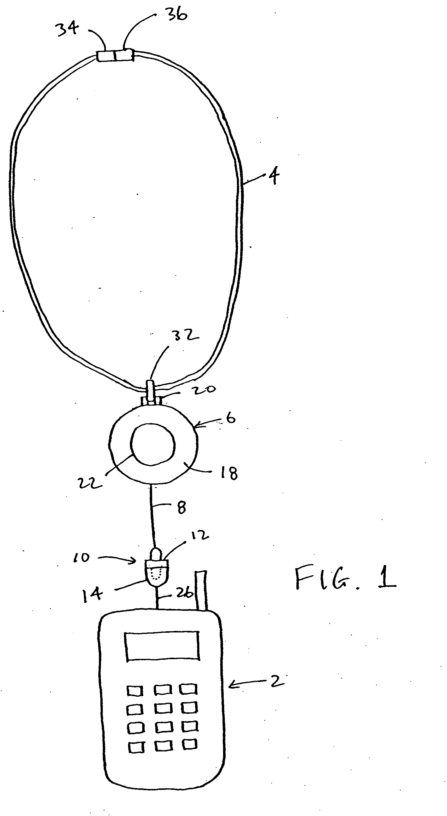 System for carrying portable device