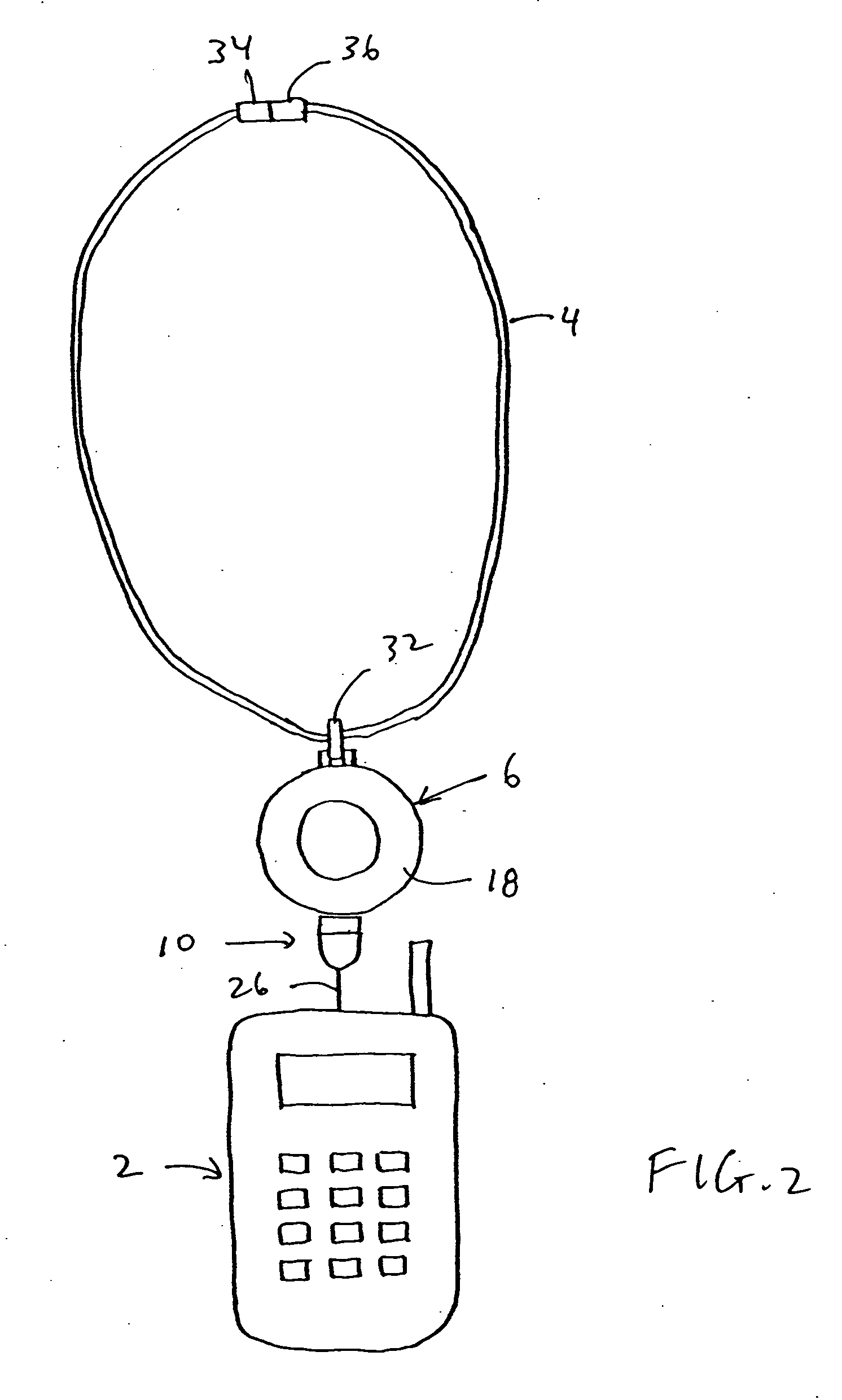 System for carrying portable device