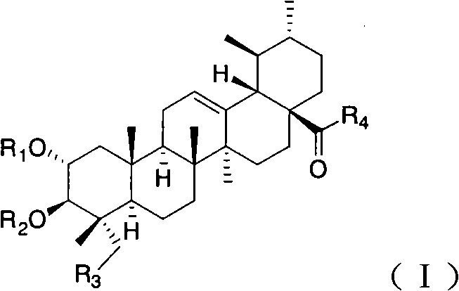 Bearberry type pentacyclic triterpenes amino acid derivates, method for preparing same and pharmaceutical use thereof