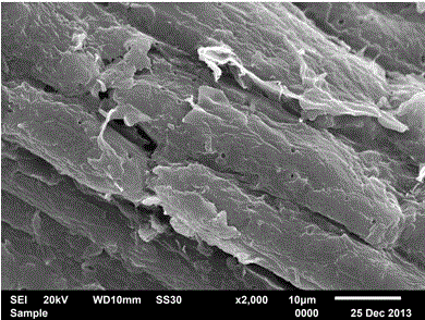 Preparation method for nanocrystalline cellulose magnetic particle capable of adsorbing heavy metal ions