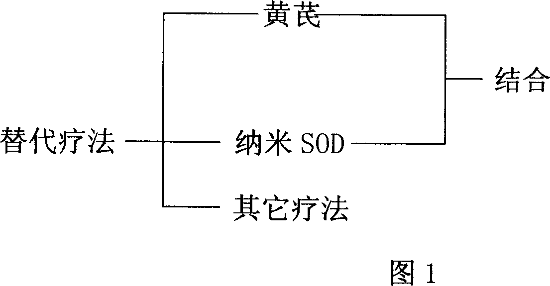 Composition of nanometer SOD and astragalus root or its extract and its preparation method