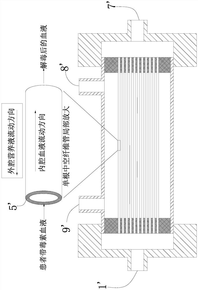 Hollow fiber bioreactor for artificial liver