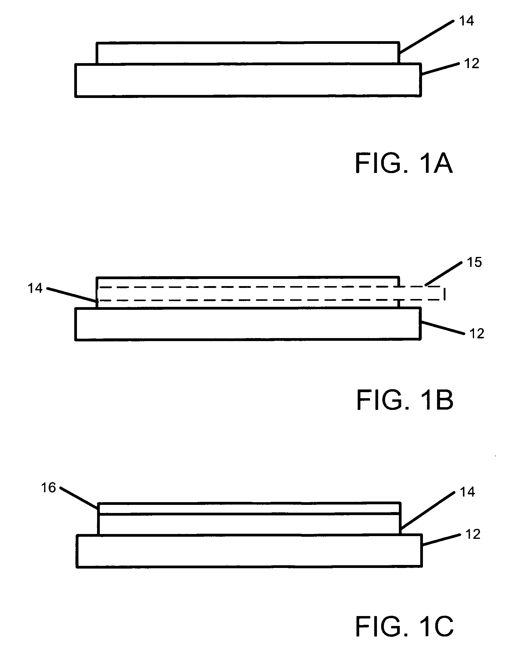System and method for tissue generation and bone regeneration